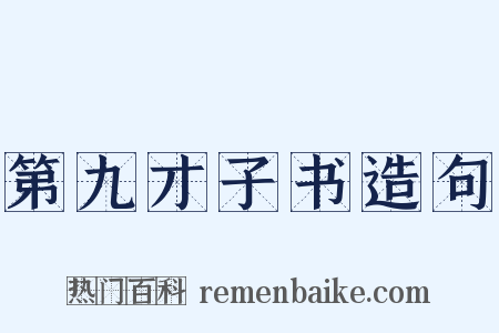 第九才子书造句是什么意思的图片
